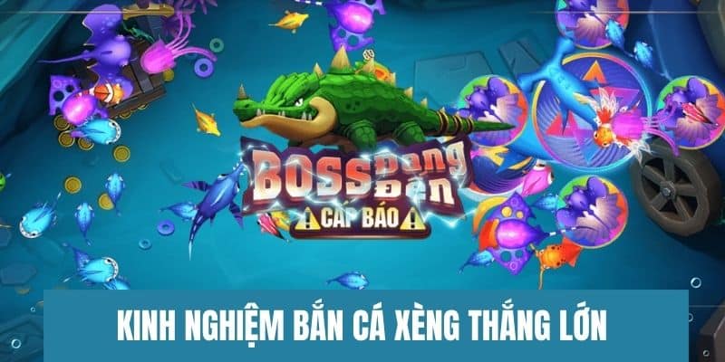 Kinh nghiệm săn cá bất bại bật mí từ cao thủ 